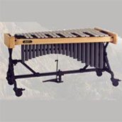 颤音琴