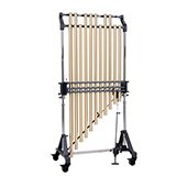 Philharmonic Serie Gen II Buis