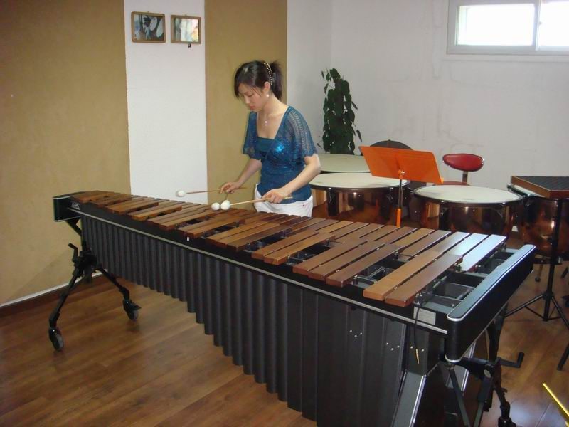 A student of the Stuttgart Conservatory of Music in Germany Lin Zhe is practicing the piano at Jianli